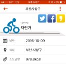 삼락강변공원 이미지