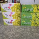송민주 Daum카페