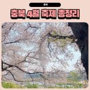 청주민속예술제 - 풍물 공연 | 충북 4월 축제 총정리 벚꽃 아이랑 가볼만한 주말 나들이 추천
