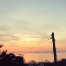 산당화가 피는집 이미지