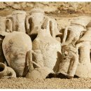 파토리아 이미지