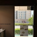 레파스 - 동구 남문로 669 | 남악 신상카페 감성 미쳤던 목포 남악 카페 레파스 베이커스 후기