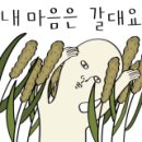 로타리 잠실감자탕·쭈꾸미 삼겹살 이미지