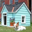 강아지집 이미지