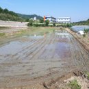 정인교농장 네이버블로그
