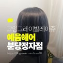 고잉(going) | ✨ [정자동미용실 예움헤어] 고잉그레이 발레아쥬 후기｜분위기 완전 바뀜! (분당미용실)