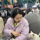 제이 그루밍 이미지