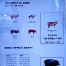 파인카츠 이미지