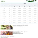 자일랜드 | [포천] 가성비 좋고 놀기 좋은 자일랜드 글램핑 캠핑장 후기