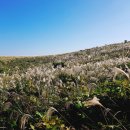 다랑쉬민박 이미지