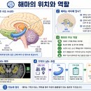 산행기를 써야 해마도 살고 전두엽도 산다 이미지