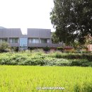 신전권역 이미지