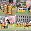 (주)사료회관 이미지