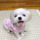 히든밸리켄넬 이미지