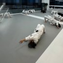 (주)니온 | 여자 주짓수 일주일 후기🥋 30대 직장인이 주짓수 시작한 이유