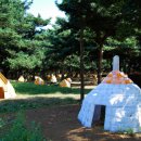 대신주말농장 정보화마을 이미지