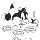 베이비루니툰 이미지