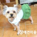 J애견미용 이미지