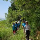 충무공초등학교 이미지