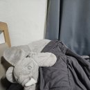 똥집의 달인 | 사가정가성비 술집 짱닭치킨 시그니쳐 치킨떡볶이 세트 솔직후기