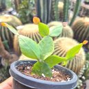 연월농장 이미지