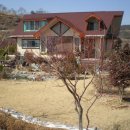 지정면사무소 이미지