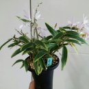 석곡중학교 이미지