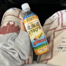 특산물위탁판매 | 티웨이 삿포로 이코노미, 신치토세 공항 쇼핑 맛집(tw264, a330)