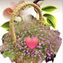 드럼교실(고급) 이미지