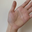 파데프리 메이크업 추천! 제스젭 베어크림과 멀티컨실러 사용후기