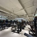 GM FITNESS 이미지