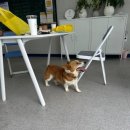 하주초등학교 이미지