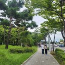 용인대 범 유도클럽 | [공연] 노들섬 EBS 스페이스공감 30주년 공연 후기 (25.09.07) - 그저 고맙습니다