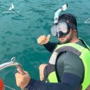 성공하는 사람들의 1인 창업을 위한 퍼스널 브랜딩 준비하기 | 하나투어 대리점 창업, 지금 다시 생각해야 하는 이유