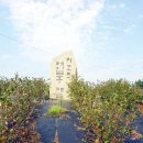 레인보우캐슬리조트 이미지