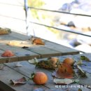 팔월펜션 이미지