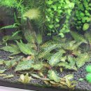 우리누리통상 이미지