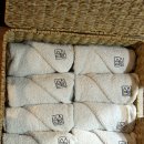 스치로다 | 제주 한경면 독채 숙소 스치로다 내돈내산 후기｜조식 만족도 높은 감성숙소