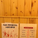 체온담다