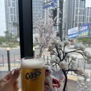 카페드크래프트원주역점 | 인천빵집 카페드크래프트 신검단중앙역점 낮맥후기