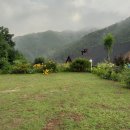 응봉산장 이미지