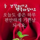 돈의보감 이미지
