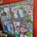 유랜드약국 이미지