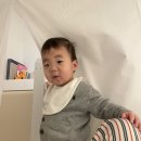 조동물병원