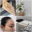 데이브로우 | [판교 왁싱] 데이브로우_눈썹 인중 브로우 왁싱 솔직 후기 (feat.브로우바 경력자의 디테일)