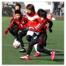 삼선12 이미지