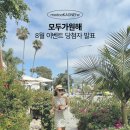 8월 당첨자 발표 ::: 온샤,대구1988,8월 일정,도씨 파자마, 네이티브, 헤이즈, 피카딜리, 위케어,오리진...