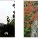 골굴사