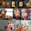 (주)애니메디 이미지