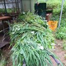 유나네 자연숲 농장 이미지